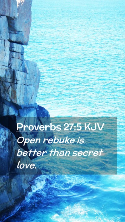 Picture 02 - Proverbs 27:5 KJV Mobile Phone Wallpaper - Open rebuke is better than secret - Mobile Bible Verse Wallpaper