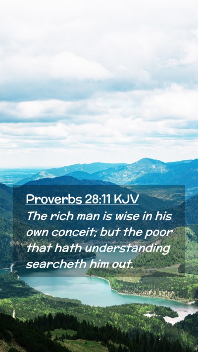 Picture 02 - Proverbs 28:11 KJV Mobile Phone Wallpaper - The rich man is wise in his own conceit; but the - Mobile Bible Verse Wallpaper