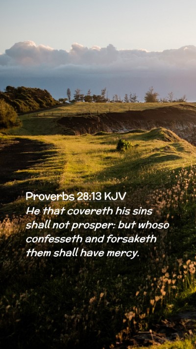 Picture 02 - Proverbs 28:13 KJV Mobile Phone Wallpaper - He that covereth his sins shall not prosper: but - Mobile Bible Verse Wallpaper