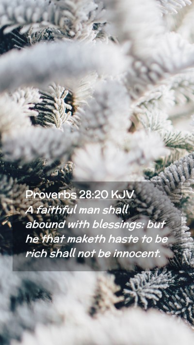 Picture 02 - Proverbs 28:20 KJV Mobile Phone Wallpaper - A faithful man shall abound with blessings: but - Mobile Bible Verse Wallpaper