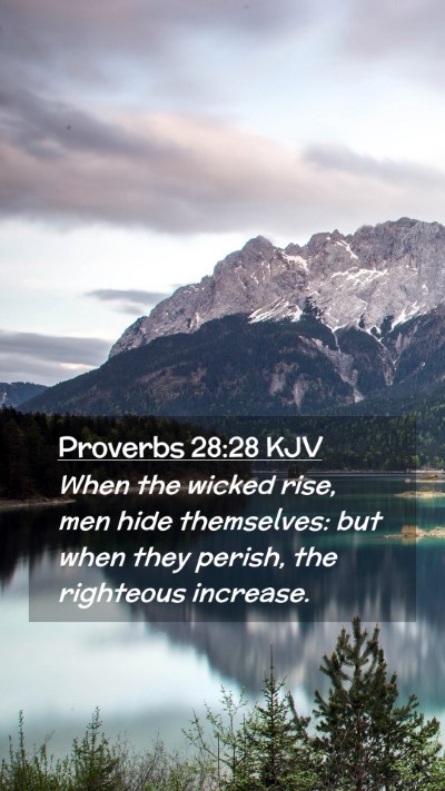 Picture 02 - Proverbs 28:28 KJV Mobile Phone Wallpaper - When the wicked rise, men hide themselves: but - Mobile Bible Verse Wallpaper