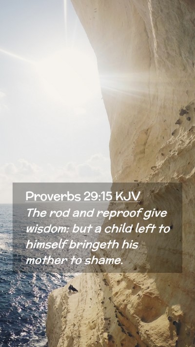 Picture 02 - Proverbs 29:15 KJV Mobile Phone Wallpaper - The rod and reproof give wisdom: but a child left - Mobile Bible Verse Wallpaper