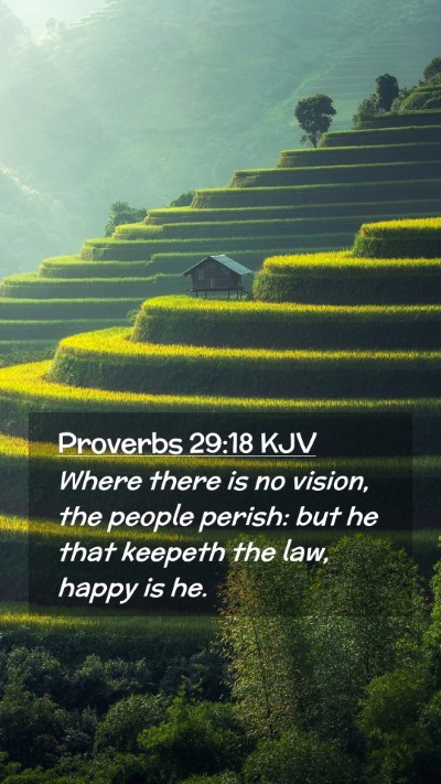Picture 02 - Proverbs 29:18 KJV Mobile Phone Wallpaper - Where there is no vision, the people perish: but - Mobile Bible Verse Wallpaper