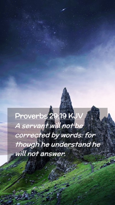 Picture 02 - Proverbs 29:19 KJV Mobile Phone Wallpaper - A servant will not be corrected by words: for - Mobile Bible Verse Wallpaper