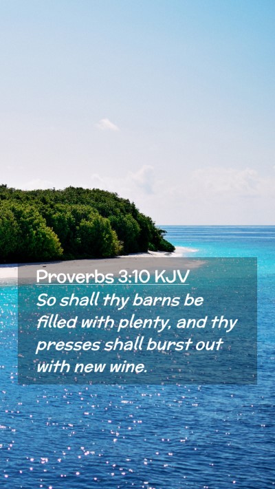Picture 02 - Proverbs 3:10 KJV Mobile Phone Wallpaper - So shall thy barns be filled with plenty, and thy - Mobile Bible Verse Wallpaper