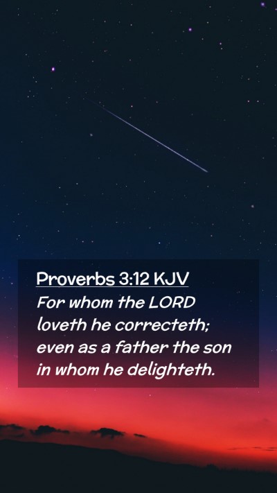 Picture 02 - Proverbs 3:12 KJV Mobile Phone Wallpaper - For whom the LORD loveth he correcteth; even as a - Mobile Bible Verse Wallpaper