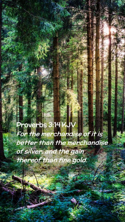 Picture 02 - Proverbs 3:14 KJV Mobile Phone Wallpaper - For the merchandise of it is better than the - Mobile Bible Verse Wallpaper