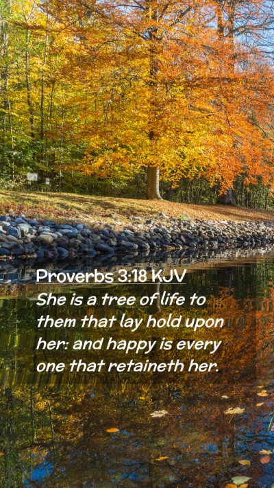 Picture 02 - Proverbs 3:18 KJV Mobile Phone Wallpaper - She is a tree of life to them that lay hold upon - Mobile Bible Verse Wallpaper