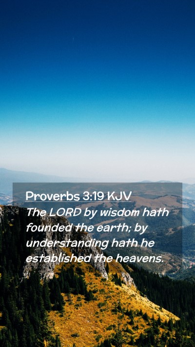 Picture 02 - Proverbs 3:19 KJV Mobile Phone Wallpaper - The LORD by wisdom hath founded the earth; by - Mobile Bible Verse Wallpaper
