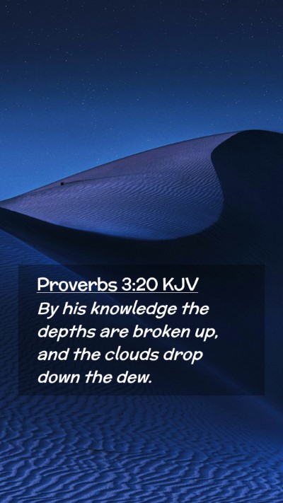 Picture 02 - Proverbs 3:20 KJV Mobile Phone Wallpaper - By his knowledge the depths are broken up, and - Mobile Bible Verse Wallpaper