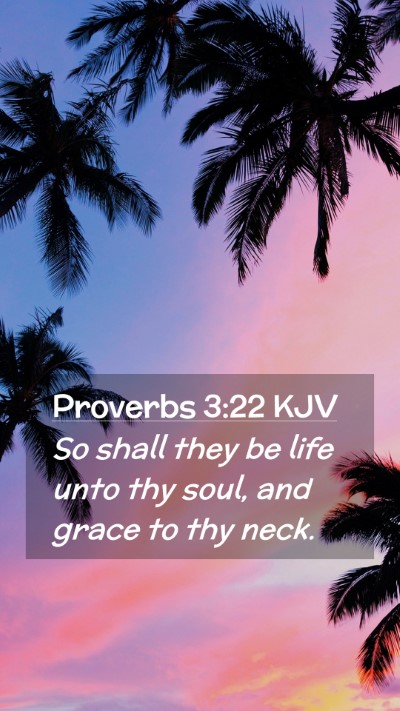 Picture 02 - Proverbs 3:22 KJV Mobile Phone Wallpaper - So shall they be life unto thy soul, and grace to - Mobile Bible Verse Wallpaper