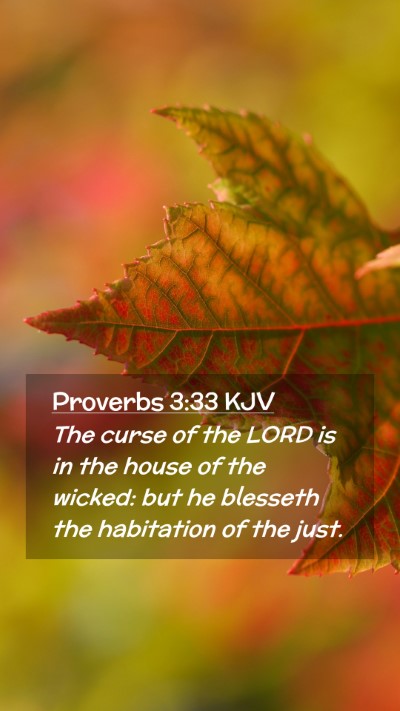Picture 02 - Proverbs 3:33 KJV Mobile Phone Wallpaper - The curse of the LORD is in the house of the - Mobile Bible Verse Wallpaper