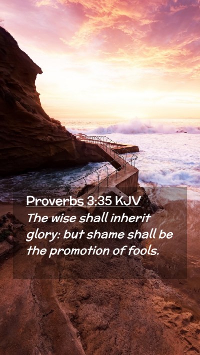 Picture 02 - Proverbs 3:35 KJV Mobile Phone Wallpaper - The wise shall inherit glory: but shame shall be - Mobile Bible Verse Wallpaper