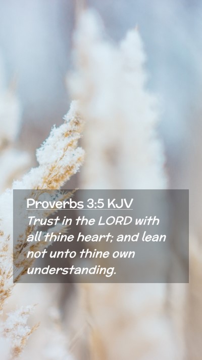 Picture 02 - Proverbs 3:5 KJV Mobile Phone Wallpaper - Trust in the LORD with all thine heart; and lean - Mobile Bible Verse Wallpaper
