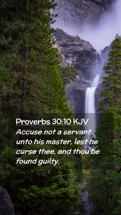 Picture 02 - Proverbs 30:10 KJV Mobile Phone Wallpaper - Accuse not a servant unto his master, lest he - Mobile Bible Verse Wallpaper