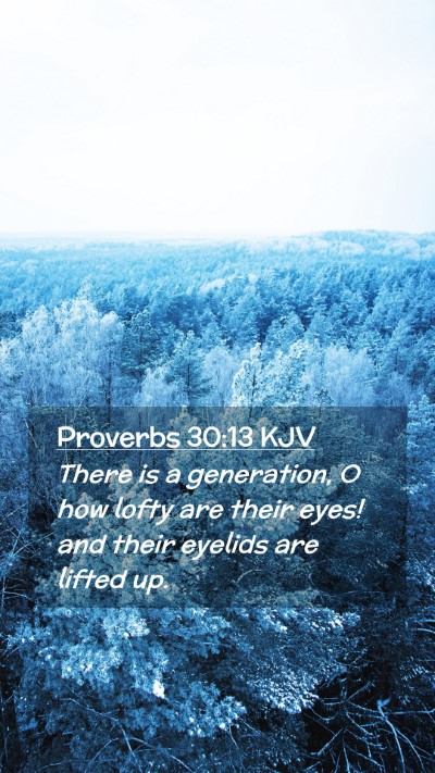 Picture 02 - Proverbs 30:13 KJV Mobile Phone Wallpaper - There is a generation, O how lofty are their - Mobile Bible Verse Wallpaper