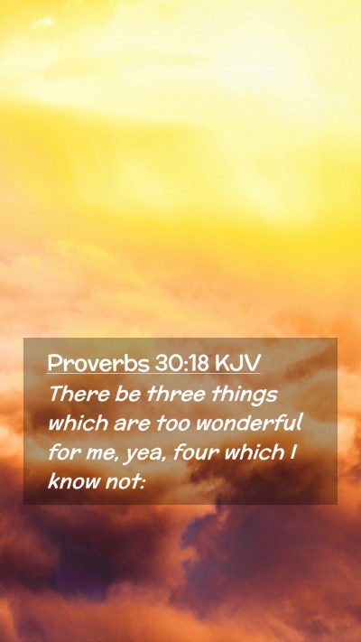 Picture 02 - Proverbs 30:18 KJV Mobile Phone Wallpaper - There be three things which are too wonderful for - Mobile Bible Verse Wallpaper