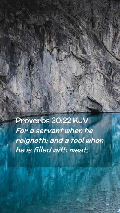 Picture 02 - Proverbs 30:22 KJV Mobile Phone Wallpaper - For a servant when he reigneth; and a fool when - Mobile Bible Verse Wallpaper