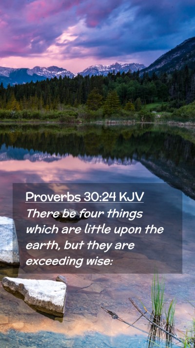 Picture 02 - Proverbs 30:24 KJV Mobile Phone Wallpaper - There be four things which are little upon the - Mobile Bible Verse Wallpaper