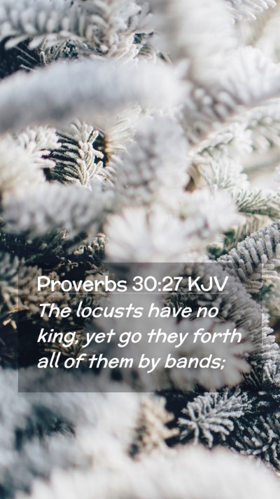 Picture 02 - Proverbs 30:27 KJV Mobile Phone Wallpaper - The locusts have no king, yet go they forth all - Mobile Bible Verse Wallpaper