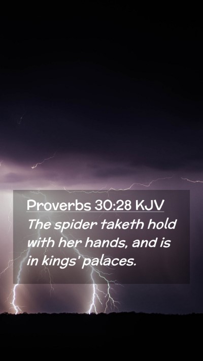 Picture 02 - Proverbs 30:28 KJV Mobile Phone Wallpaper - The spider taketh hold with her hands, and is in - Mobile Bible Verse Wallpaper