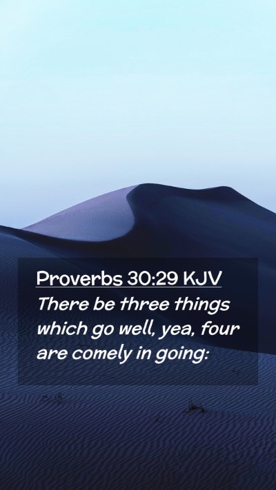 Picture 02 - Proverbs 30:29 KJV Mobile Phone Wallpaper - There be three things which go well, yea, four - Mobile Bible Verse Wallpaper