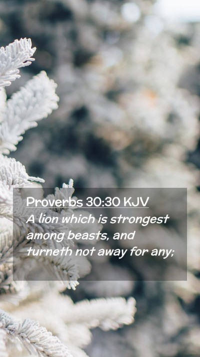 Picture 02 - Proverbs 30:30 KJV Mobile Phone Wallpaper - A lion which is strongest among beasts, and - Mobile Bible Verse Wallpaper