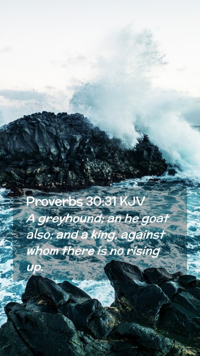 Picture 02 - Proverbs 30:31 KJV Mobile Phone Wallpaper - A greyhound; an he goat also; and a king, against - Mobile Bible Verse Wallpaper