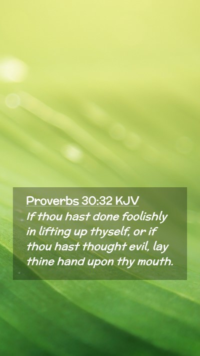 Picture 02 - Proverbs 30:32 KJV Mobile Phone Wallpaper - If thou hast done foolishly in lifting up - Mobile Bible Verse Wallpaper