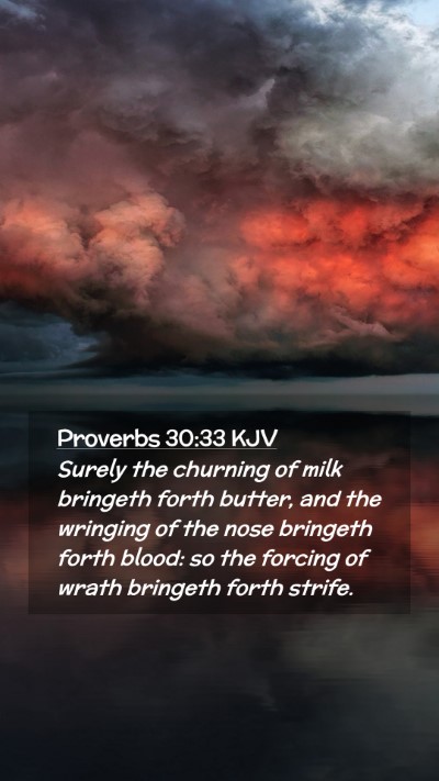 Picture 02 - Proverbs 30:33 KJV Mobile Phone Wallpaper - Surely the churning of milk bringeth forth - Mobile Bible Verse Wallpaper