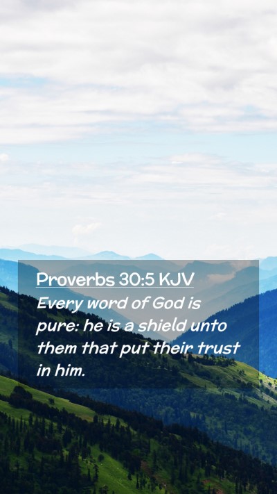 Picture 02 - Proverbs 30:5 KJV Mobile Phone Wallpaper - Every word of God is pure: he is a shield unto - Mobile Bible Verse Wallpaper