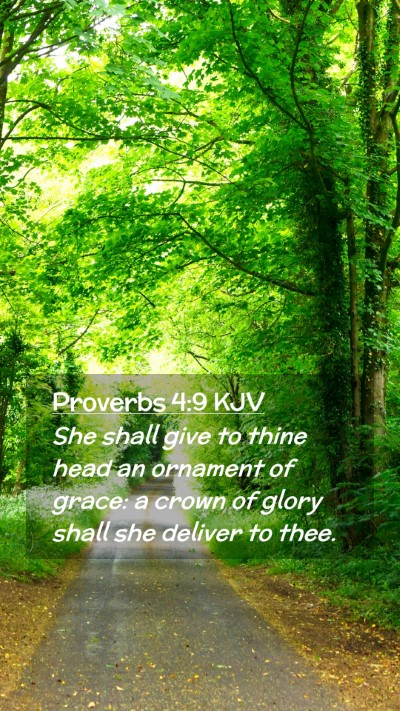 Picture 02 - Proverbs 4:9 KJV Mobile Phone Wallpaper - She shall give to thine head an ornament of - Mobile Bible Verse Wallpaper