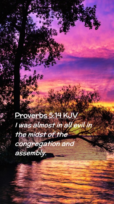 Picture 02 - Proverbs 5:14 KJV Mobile Phone Wallpaper - I was almost in all evil in the midst of the - Mobile Bible Verse Wallpaper