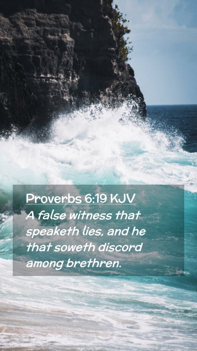Picture 02 - Proverbs 6:19 KJV Mobile Phone Wallpaper - A false witness that speaketh lies, and he that - Mobile Bible Verse Wallpaper