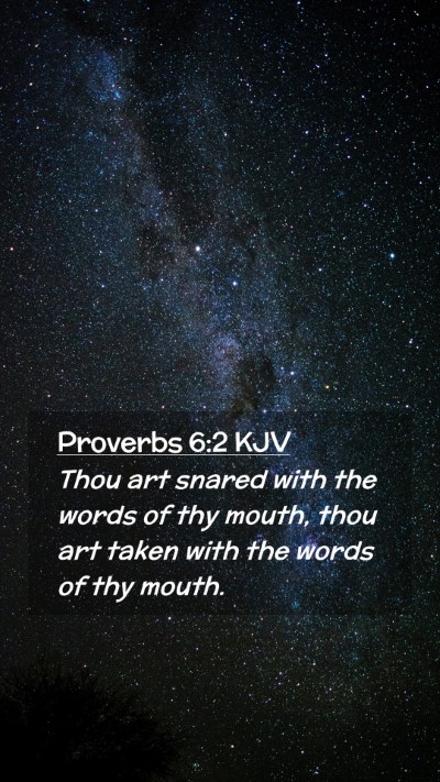 Picture 02 - Proverbs 6:2 KJV Mobile Phone Wallpaper - Thou art snared with the words of thy mouth, thou - Mobile Bible Verse Wallpaper