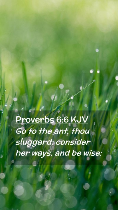Picture 02 - Proverbs 6:6 KJV Mobile Phone Wallpaper - Go to the ant, thou sluggard; consider her ways, - Mobile Bible Verse Wallpaper