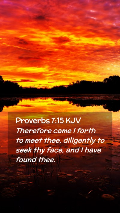 Picture 02 - Proverbs 7:15 KJV Mobile Phone Wallpaper - Therefore came I forth to meet thee, diligently - Mobile Bible Verse Wallpaper