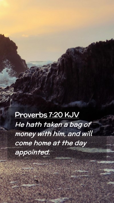 Picture 02 - Proverbs 7:20 KJV Mobile Phone Wallpaper - He hath taken a bag of money with him, and will - Mobile Bible Verse Wallpaper