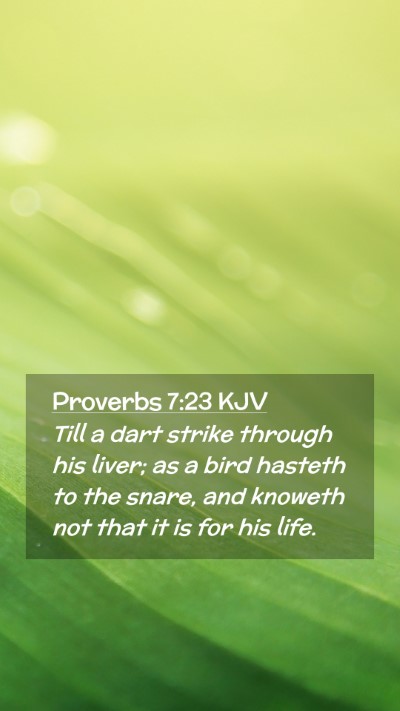 Picture 02 - Proverbs 7:23 KJV Mobile Phone Wallpaper - Till a dart strike through his liver; as a bird - Mobile Bible Verse Wallpaper