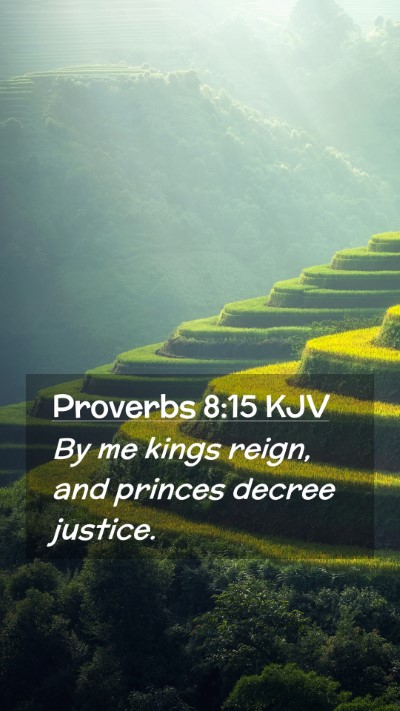 Picture 02 - Proverbs 8:15 KJV Mobile Phone Wallpaper - By me kings reign, and princes decree - Mobile Bible Verse Wallpaper