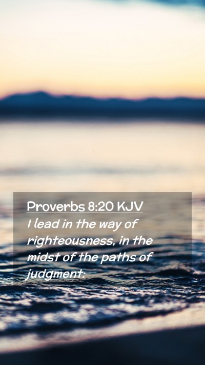 Picture 02 - Proverbs 8:20 KJV Mobile Phone Wallpaper - I lead in the way of righteousness, in the midst - Mobile Bible Verse Wallpaper