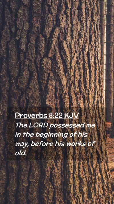 Picture 02 - Proverbs 8:22 KJV Mobile Phone Wallpaper - The LORD possessed me in the beginning of his - Mobile Bible Verse Wallpaper