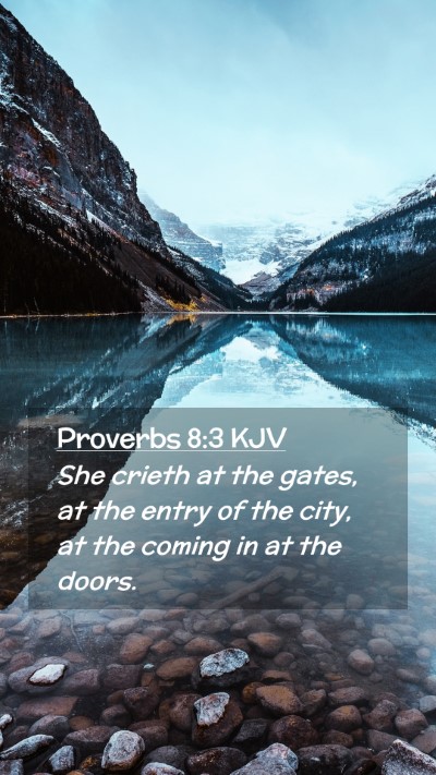 Picture 02 - Proverbs 8:3 KJV Mobile Phone Wallpaper - She crieth at the gates, at the entry of the - Mobile Bible Verse Wallpaper