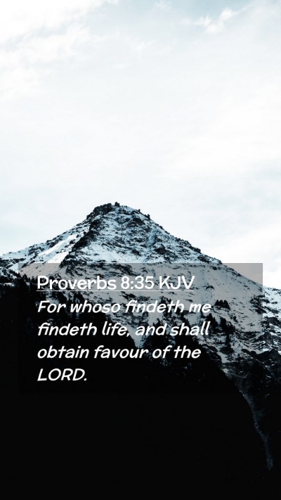 Picture 02 - Proverbs 8:35 KJV Mobile Phone Wallpaper - For whoso findeth me findeth life, and shall - Mobile Bible Verse Wallpaper