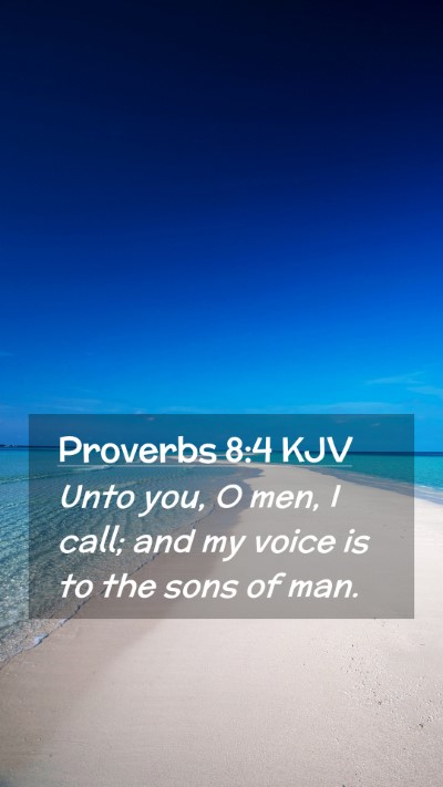 Picture 02 - Proverbs 8:4 KJV Mobile Phone Wallpaper - Unto you, O men, I call; and my voice is to the - Mobile Bible Verse Wallpaper