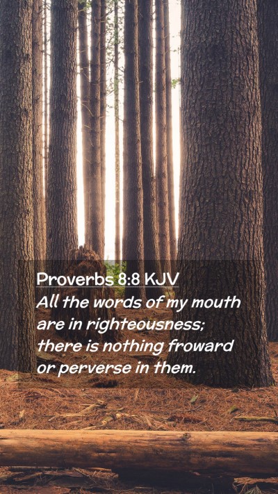 Picture 02 - Proverbs 8:8 KJV Mobile Phone Wallpaper - All the words of my mouth are in righteousness; - Mobile Bible Verse Wallpaper