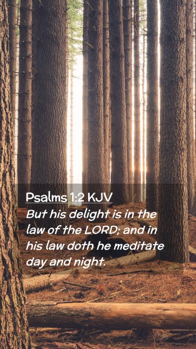 Picture 02 - Psalms 1:2 KJV Mobile Phone Wallpaper - But his delight is in the law of the LORD; and in - Mobile Bible Verse Wallpaper