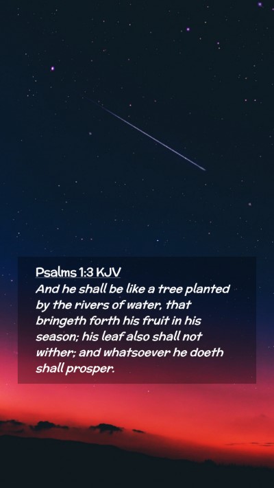 Picture 02 - Psalms 1:3 KJV Mobile Phone Wallpaper - And he shall be like a tree planted by the rivers - Mobile Bible Verse Wallpaper