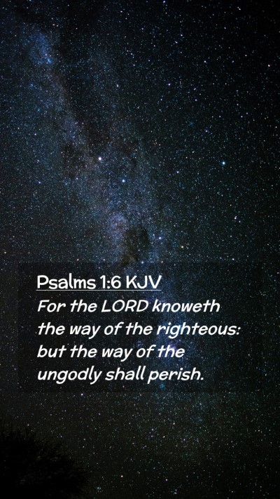 Picture 02 - Psalms 1:6 KJV Mobile Phone Wallpaper - For the LORD knoweth the way of the righteous: - Mobile Bible Verse Wallpaper