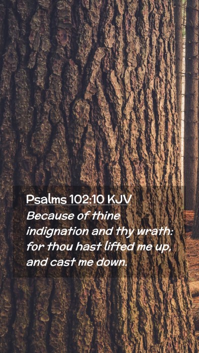 Picture 02 - Psalms 102:10 KJV Mobile Phone Wallpaper - Because of thine indignation and thy wrath: for - Mobile Bible Verse Wallpaper